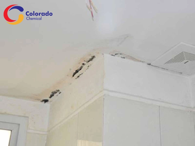 Các dấu hiệu nhận biết cổ trần nhà bị thấm dột