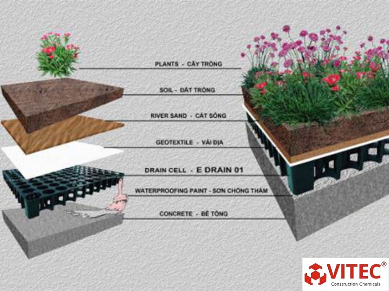 Chia sẻ cách chống thấm vườn sân thượng hiệu quả