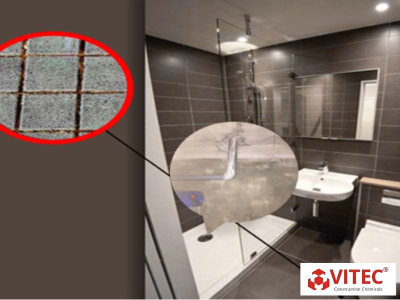 Sơn chống thấm nhà vệ sinh Toilet WC hiệu quả triệt để nhất