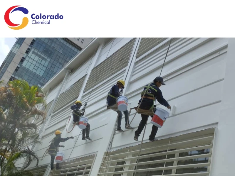 Ngăn ngừa nấm mốc và rêu phát triển trên bề mặt