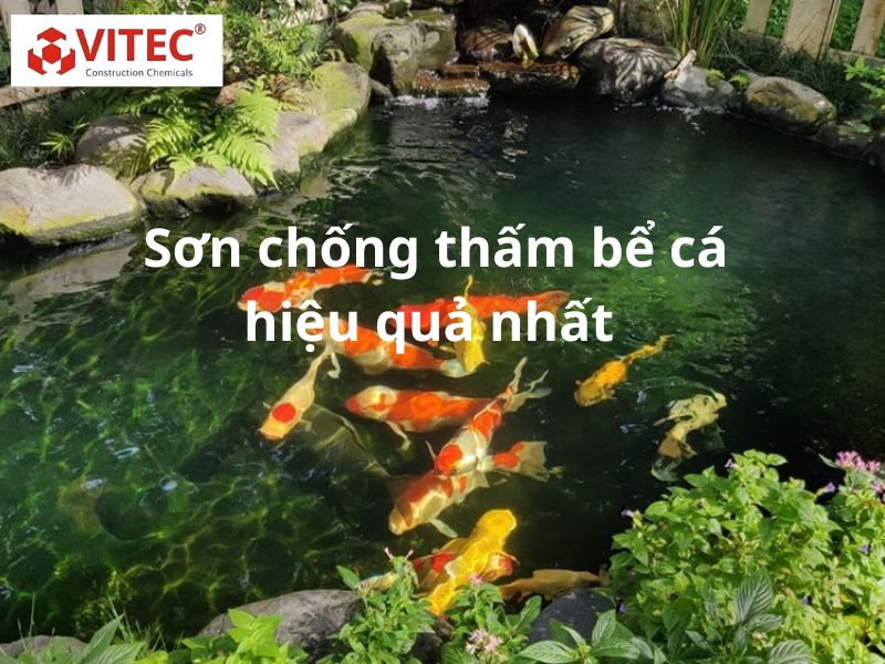 Gợi ý 2 loại sơn chống thấm hồ cá hiệu quả nhất hiện nay