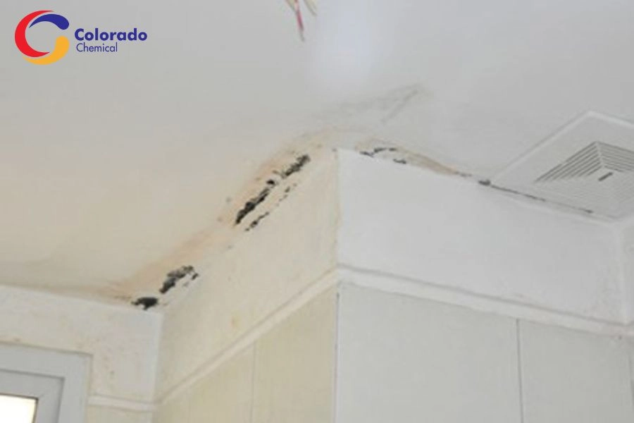 Nứt Cổ Trần Là Gì? Nguyên Nhân, Tác Hại Và Giải Pháp Xử Lý Tối Ưu 