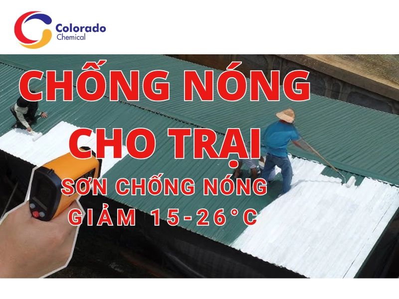 Top 6 Cách Làm Mát Chuồng Heo Hiệu Quả Giúp Hạ Nhiệt Tức Thì