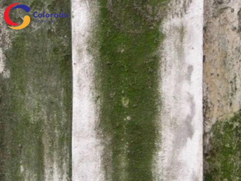 Kiểm tra mức độ hư tổn để đánh giá trước khi làm