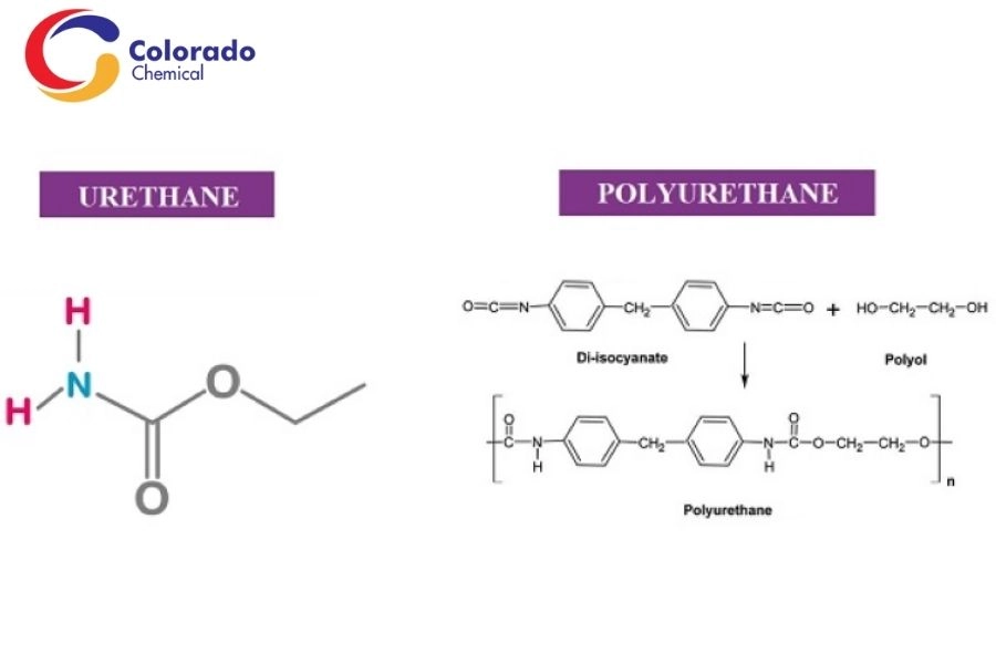 Tìm Hiểu Cơ Chế Chống Thấm Của Polyurethane Ứng Dụng Cho Công Trình Ngoài Trời 